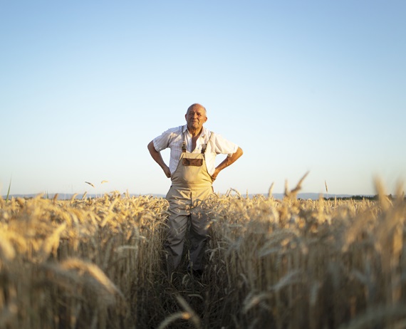 Portrait of senior farmer agronomist in wheat field checking crops before harvest.